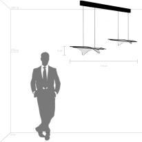 Купить с доставкой по Москве и России Подвесная люстра Lightstar 731323