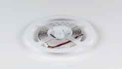 Купить Лента DesignLed DSG2196-24-WW-33