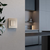 Цена на Выключатель Werkel W4523011