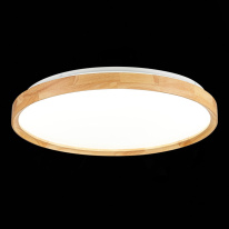 Накладной светильник Evoluce SLE201382-01 в интернет магазине Гет Лайт