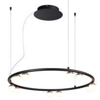 Фото Подвесная люстра Favourite 4320-10P