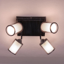 Цена на Спот Citilux CL535541