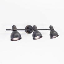 Фото Спот Citilux CL502532