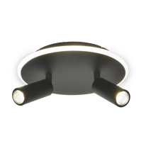 Накладной светильник Escada 20046SMA/02LED BK Фото Накладной светильник Escada 20046SMA/02LED BK