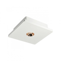 Фото Накладной светильник LOFT IT OL1072-WG/1