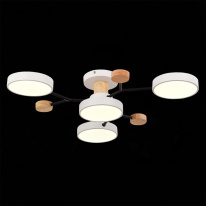 Купить с доставкой по Москве и России Люстра на штанге Evoluce SLE6006-502-04