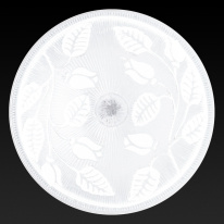 Купить Накладной светильник TOPLIGHT TL9121Y-02WH