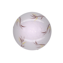 Фото Накладной светильник Citilux CL918009