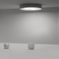 Купить с доставкой по Москве и России Накладной светильник ImperiumLoft 189550-26