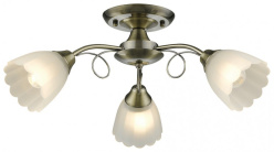 Фото Накладная люстра VELANTE 708-507-03