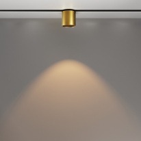 Цена на Светильник на шине Maytoni Technical TR132-2-7W3K-BS