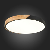 Купить с доставкой по Москве и России Накладной светильник Evoluce SLE200942-01