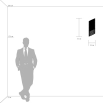 Купить с доставкой по Москве и России Бра Lightstar 709634