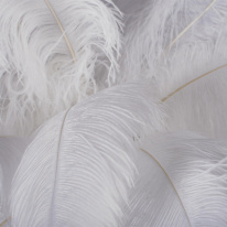 Купить с доставкой по Москве и России Торшер LOFT IT 10067F/SG White