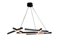 Фото Подвесная люстра Zortes ZRS.01243.02