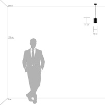 Цена на Подвесной светильник Lightstar 795314