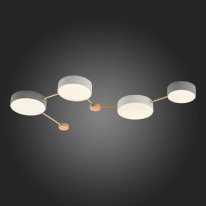 Накладной светильник Evoluce SLE600102-04 в интернет магазине Гет Лайт