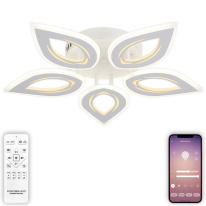 Купить с доставкой по Москве и России Накладной светильник Natali Kovaltseva LED LAMPS 81123/5C