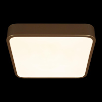 Купить с доставкой по Москве и России Накладной светильник LOFT IT 10228/C