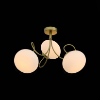 Купить Накладная люстра Evoluce SL717.202.03