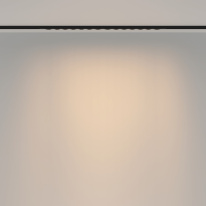 Купить с доставкой по Москве и России Maytoni Technical TR175-1-24WTW-M-B