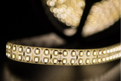 Купить с доставкой по Москве и России Лента SWG SWG3240-24-19.2-WW-65