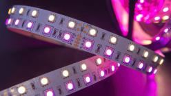 Купить Лента SWG SWG5120-24-28.8-RGBWW-M