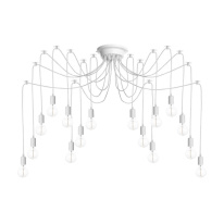 Фото Подвесная люстра LOFT IT LOFT1162W/16