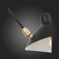 Купить Накладная люстра ST-Luce SL305.402.06