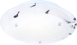 Фото Накладной светильник Globo 48077