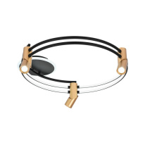 Фото Накладная люстра Favourite 4071-3U