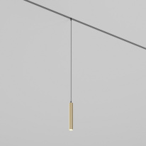 Фото Светильник на шине Denkirs DK8008-BG