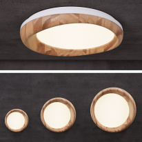 Купить с доставкой по Москве и России Накладной светильник ImperiumLoft 219475-26