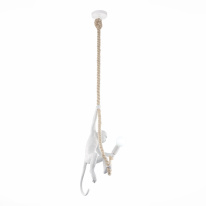 Фото Детский светильник Evoluce SLE115103-01