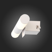 Светильник для картин ST-Luce SL1593.501.02 в интернет магазине Гет Лайт