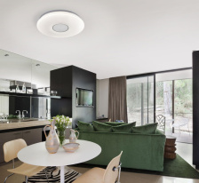 Купить с доставкой по Москве и России Накладной светильник Citilux CL703M61