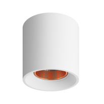 Накладной светильник Denkirs DK3090-WBR в интернет магазине Гет Лайт