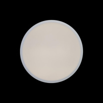 Цена на Накладной светильник LOFT IT 10002/12 White