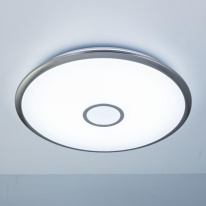 Купить с доставкой по Москве и России Накладной светильник Citilux CL703A81G