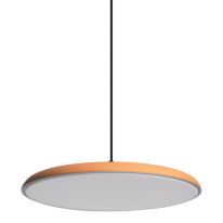 Купить Детский светильник LOFT IT 10119 Orange
