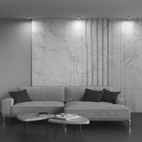 Купить с доставкой по Москве и России Встраиваемый светильник Maytoni Technical DL050-01WG