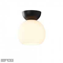Цена на Накладной светильник iLamp C6079-1 BK+WH