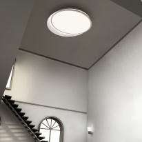 Купить с доставкой по Москве и России Накладной светильник ImperiumLoft 102036-26