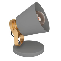 Фото Настольная лампа EGLO 43841