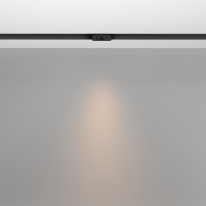 Купить Светильник на шине Maytoni Technical TR100-2-2W3K-S-B