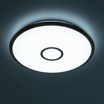 Купить с доставкой по Москве и России Накладной светильник Citilux CL703A83G