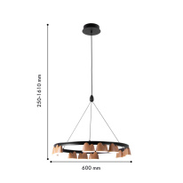 Купить Подвесная люстра Favourite 4266-12P