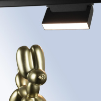 Светильник на шине LOFT IT T107-06 Светильник на шине LOFT IT T107-06 в интернет магазине Гет Лайт