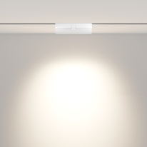 Светильник на шине Maytoni Technical TR033-2-12W4K-W Цена на Светильник на шине Maytoni Technical TR033-2-12W4K-W