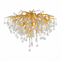 Купить с доставкой по Москве и России Накладная люстра ST-Luce SL1651.202.10